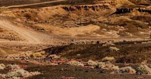 乃父之风！克里斯-保罗儿子穿2号球衣，16岁1米85已超父亲